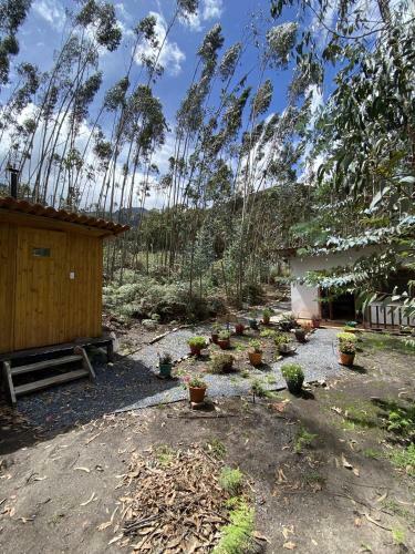Hotel La Roca Glamping