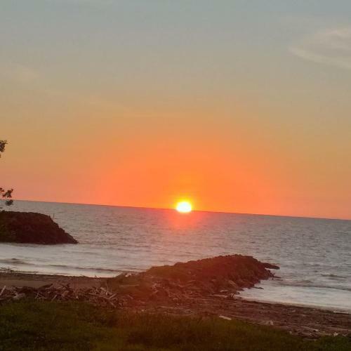 Bed & Breakfast Caba�a Villa Del Coco