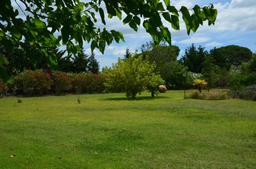 Bed & Breakfast Mas De La Montille