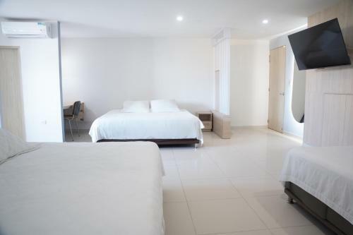 Apartaestudios Lagos