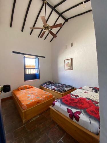 Casa Marfrank