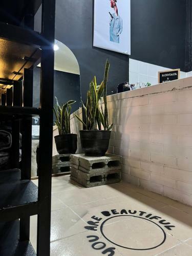 Apartamento Apto R�stico,estilo Y Encanto.