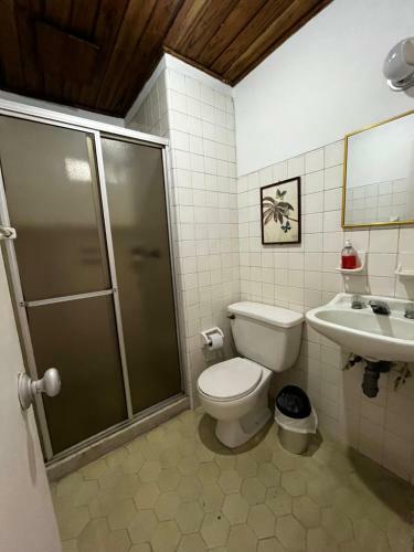 Hostal Hotel Alpino