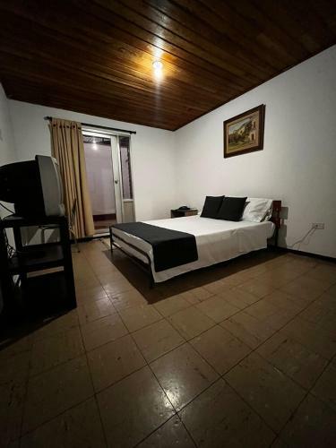 Hostal Hotel Alpino
