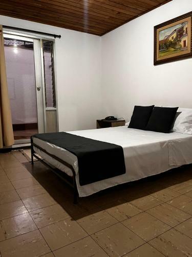 Hostal Hotel Alpino