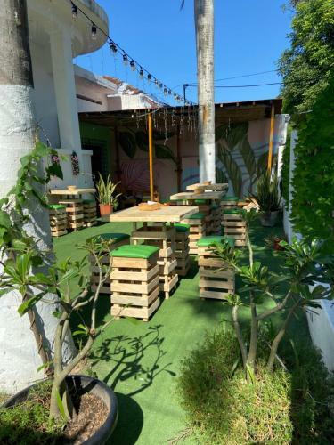 Vegan Garden Hostal