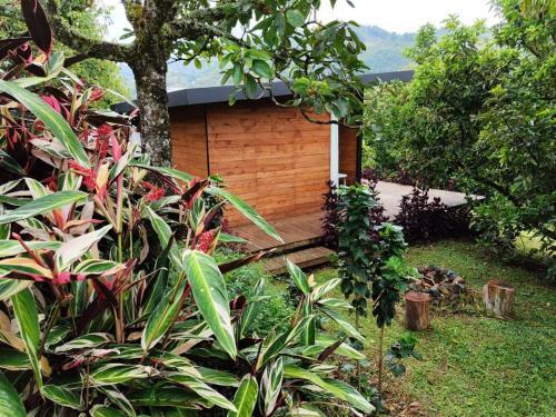 Hotel Rainbow Glamping