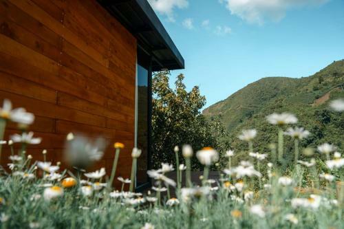 Hotel Rainbow Glamping
