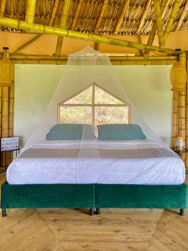 Alma Ecosuites
