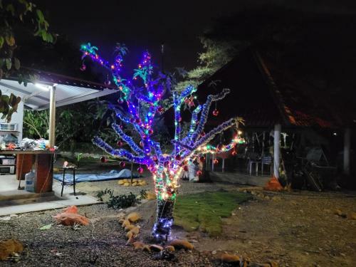 Apartamento Quinta El Kiosko