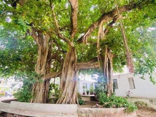 Apartamento Hermoso Lugar Para Descansar