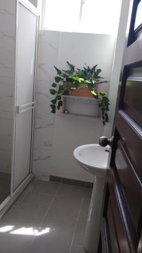 Apartamento Mayita