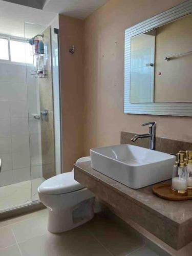 Complete Apartment In Barranquilla
