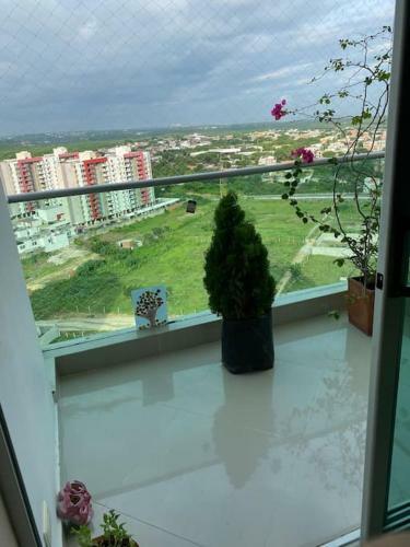 Complete Apartment In Barranquilla