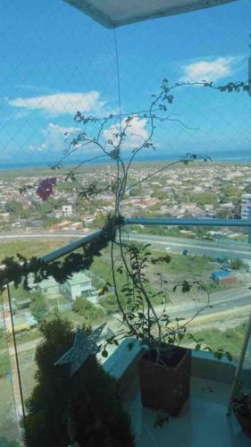 Complete Apartment In Barranquilla