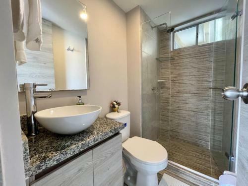 Apartamento Amoblado Zona Norte