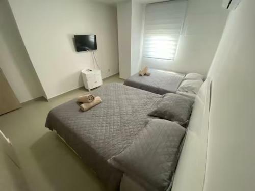 Apartamento C�modo Apto Para 4 Personas
