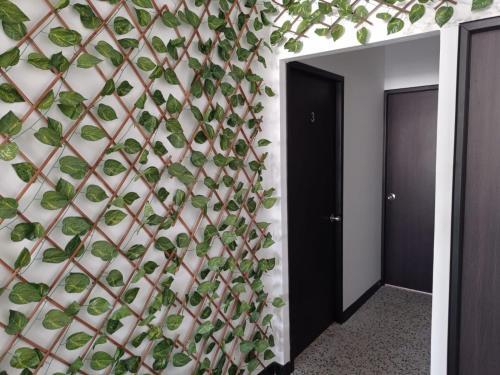 Apartamento Barichara