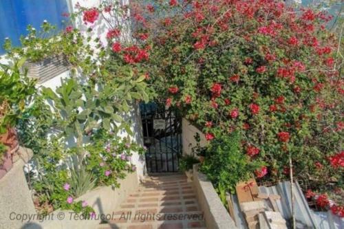 Apartamento Caba�a Con Jacuzzi En Caba�as Annapurna
