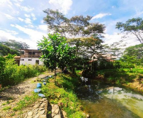 Espectacular Casa-bonobo House Al Lado Del Rio