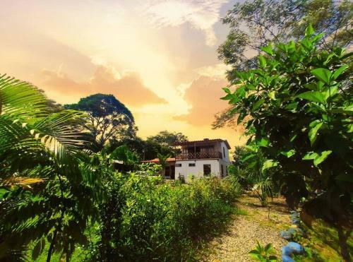 Espectacular Casa-bonobo House Al Lado Del Rio