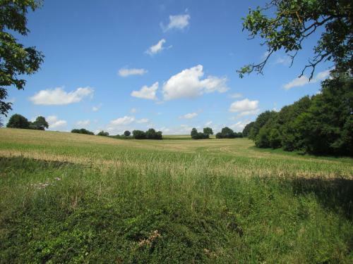 Petit Vaulog�