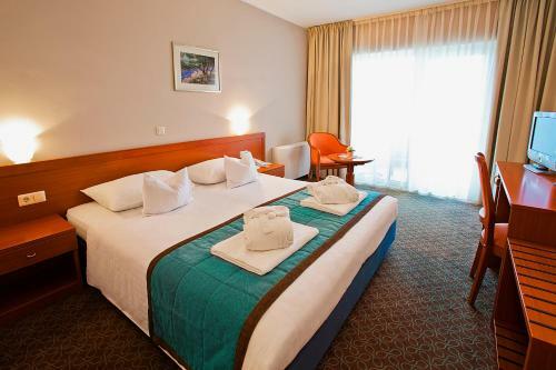 Hotel Pinia