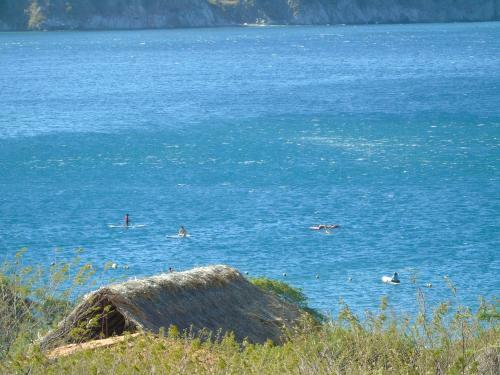 Puro Para�so Eco Hotel