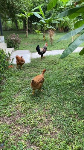 Caba�a Villa Mary-aguachica