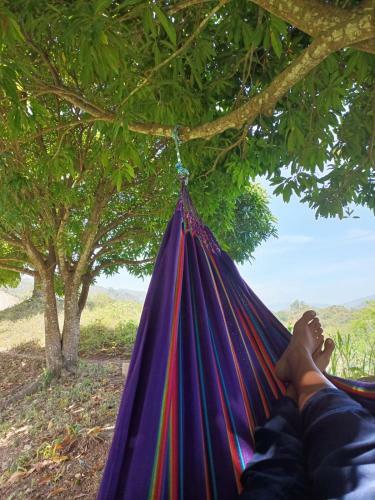 Hotel Frana Lodge