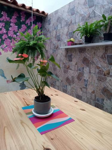 Hostal Astroblue
