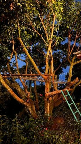 Villa Caba�a Caracas Luxury