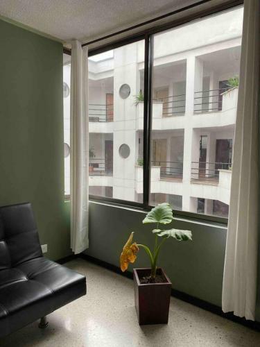 Apartamento Zona Rosa Granada