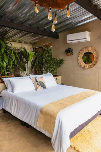 Hotel Ecoresort Colombo Holandes