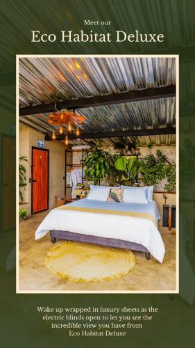 Hotel Ecoresort Colombo Holandes