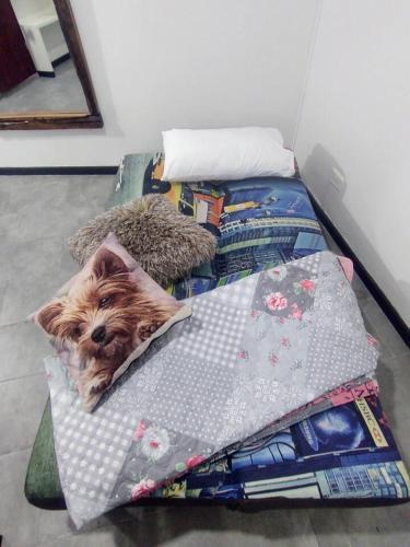 Apartamento C�ntrico Tur�stico Cali