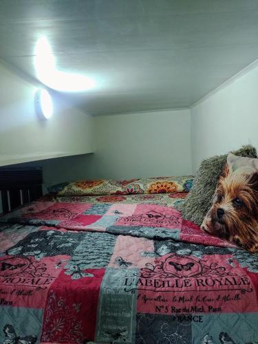 Apartamento C�ntrico Tur�stico Cali