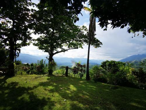 Finca Con Forma De Castillo Y Piscina En Sopetr�n