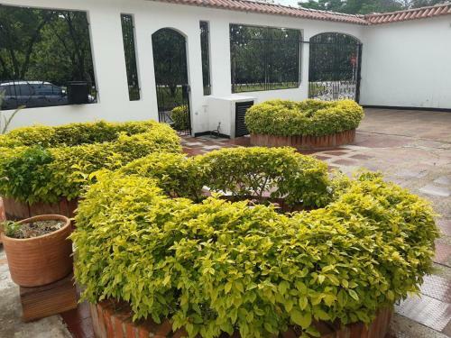 Casa Quinta Para Descanso