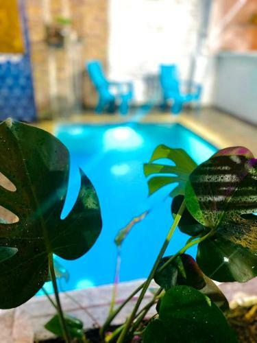 Hostal Patio Del R�o