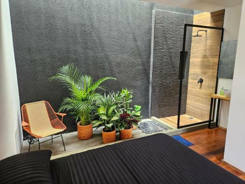 Hostal Casa Alba