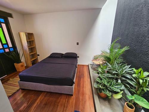 Hostal Casa Alba