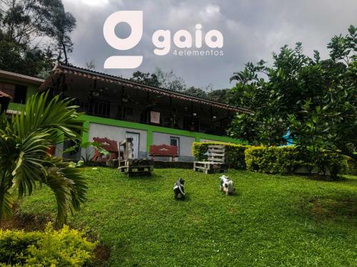 Agroturismo Gaia 4 Elemento