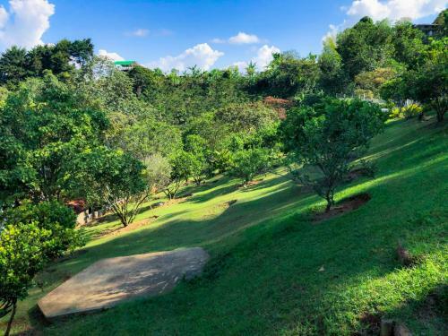 Agroturismo Gaia 4 Elemento