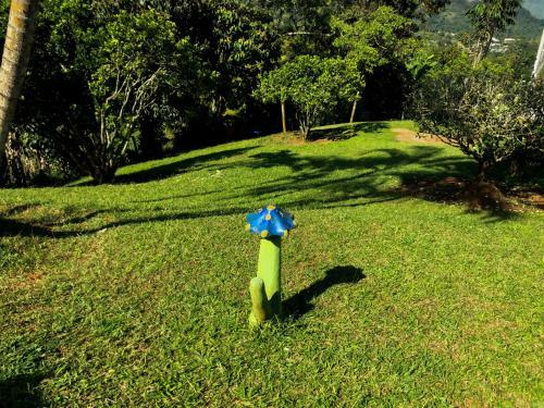 Agroturismo Gaia 4 Elemento