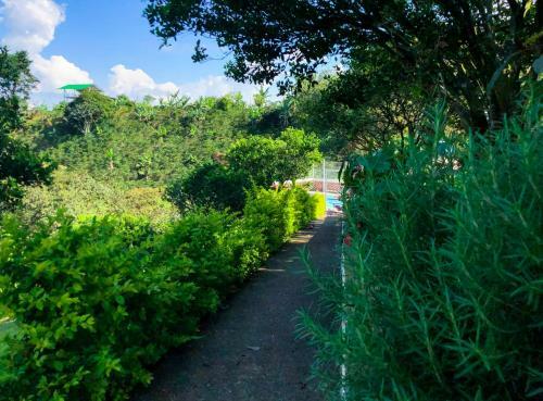 Agroturismo Gaia 4 Elemento