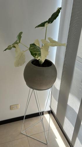 Apartamento En Valle Del Lili