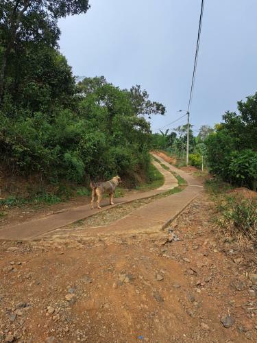 El Rinc�n De Blanquita