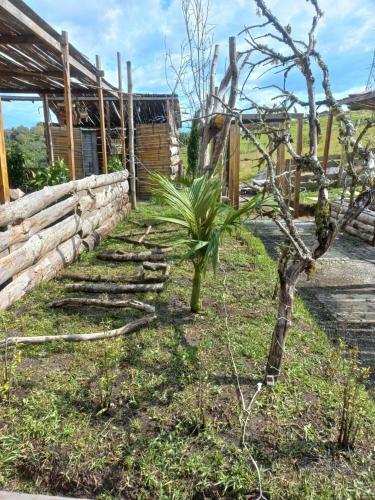 Agroturismo Vibras