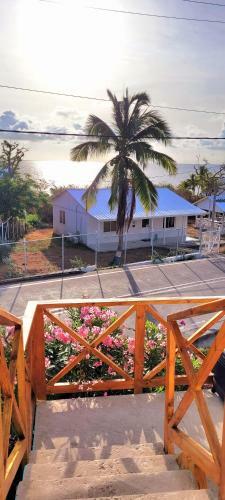 Bed & Breakfast Colorful Garden House